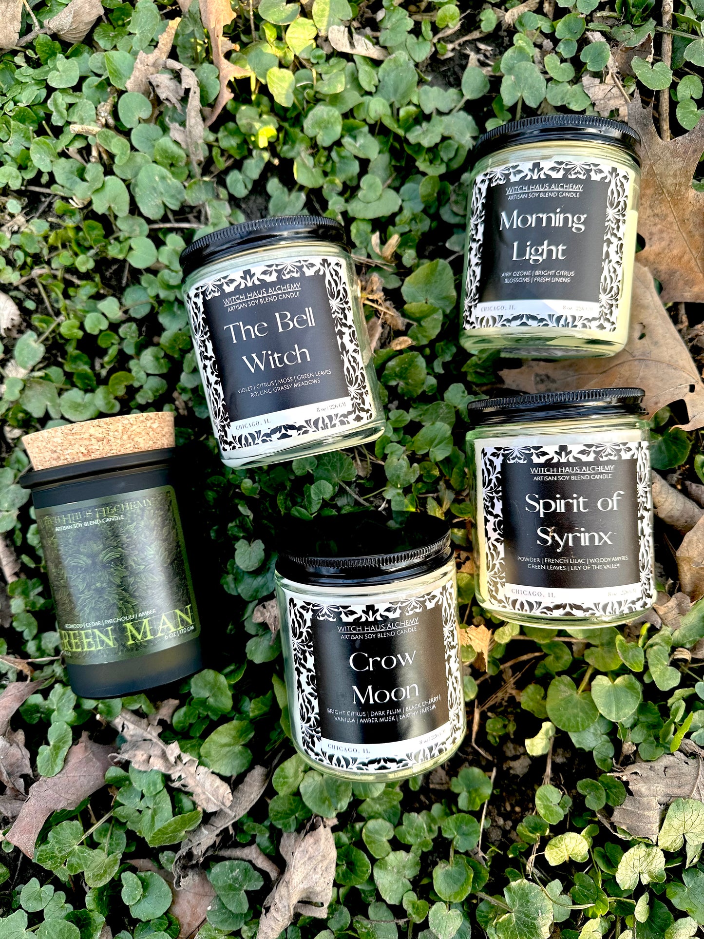Morning Light | 8 oz Candle
