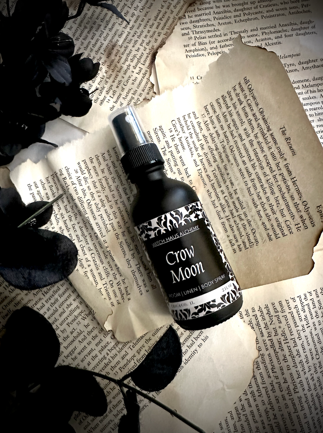 Crow Moon | Room Spray