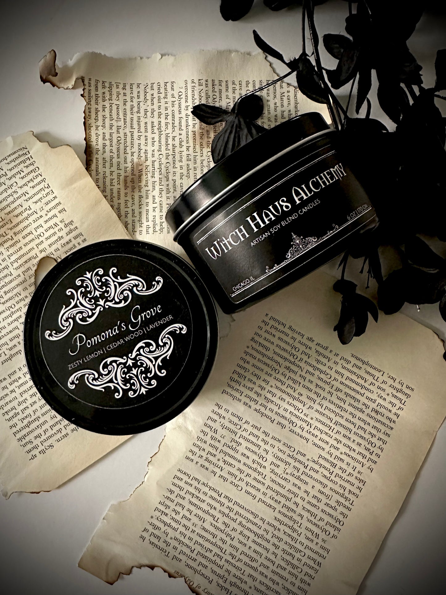 Pamona’s Grove | 6 oz Tin Candle