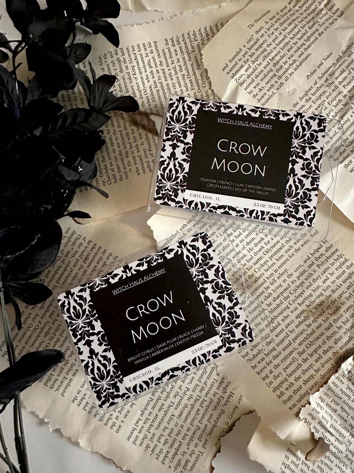 Crow Moon | Wax Melts