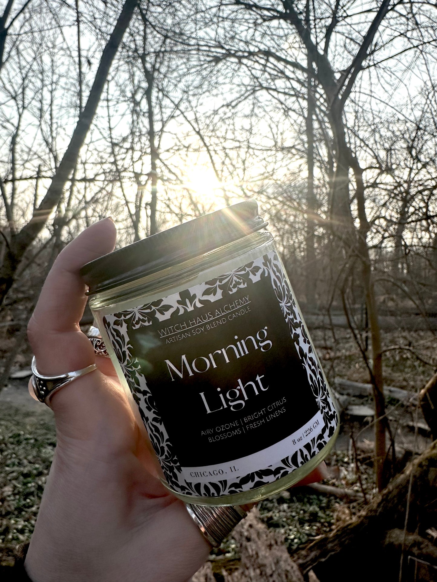 Morning Light | 6 oz Candle